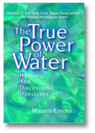 The True Power of Water book cover