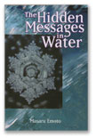 The Hidden Messages in Water book cover