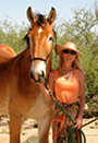 An image of Karen Pomroy with horse