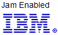 IBM logo